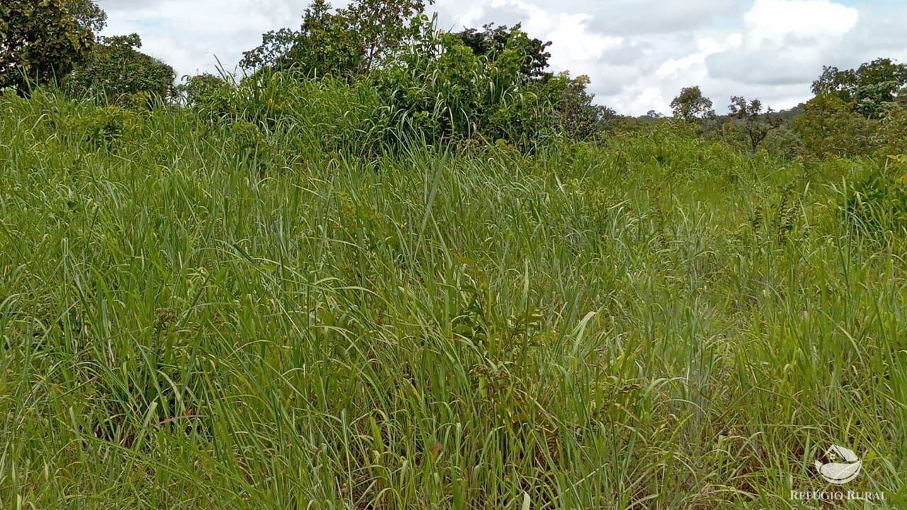 Fazenda à venda com 2 quartos, 3872000m² - Foto 15