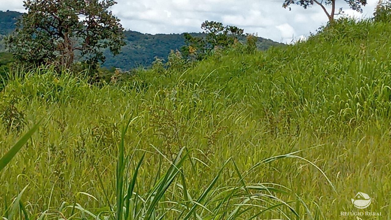 Fazenda à venda com 2 quartos, 3872000m² - Foto 6