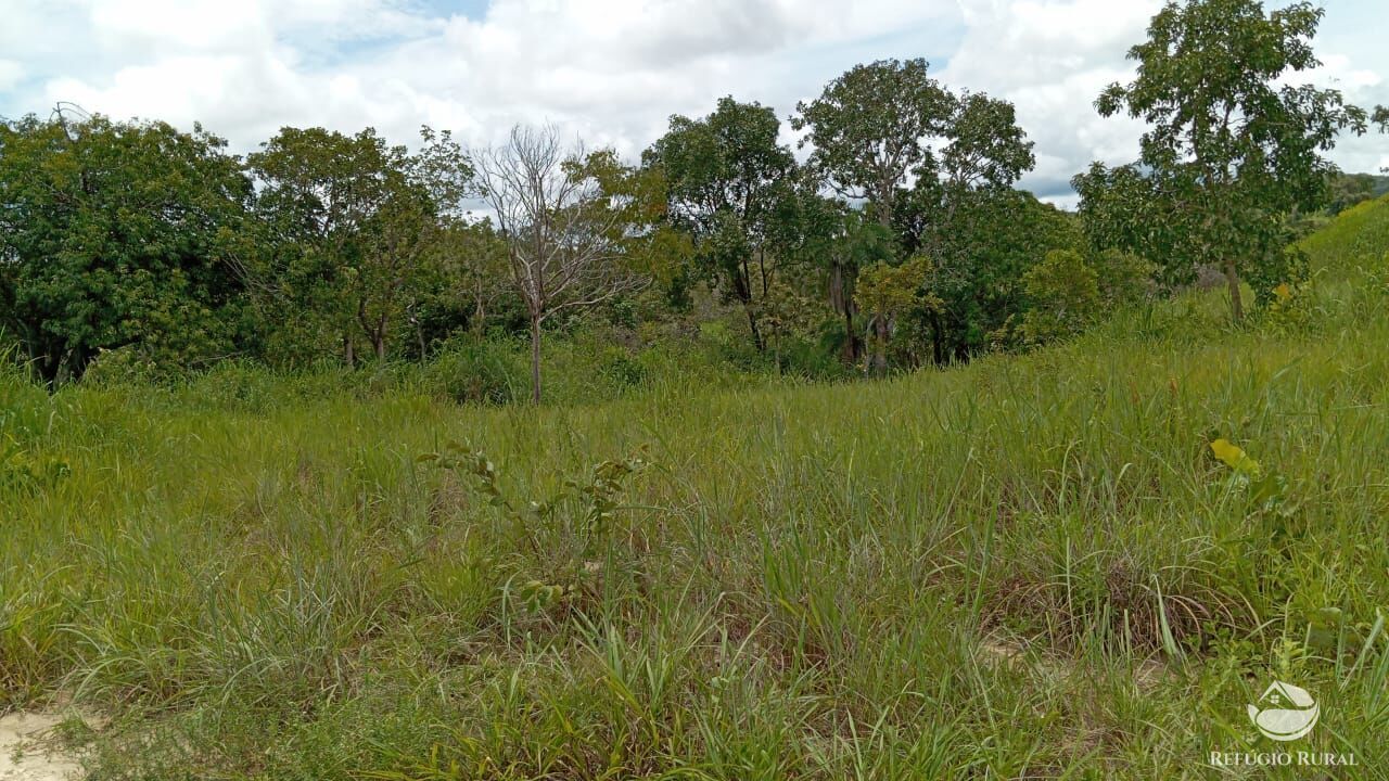 Fazenda à venda com 2 quartos, 3872000m² - Foto 18