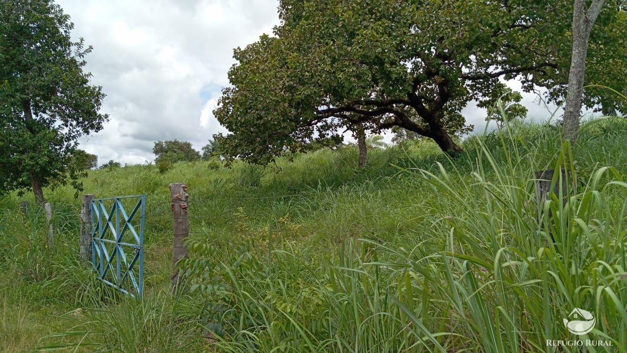 Fazenda à venda com 2 quartos, 3872000m² - Foto 13