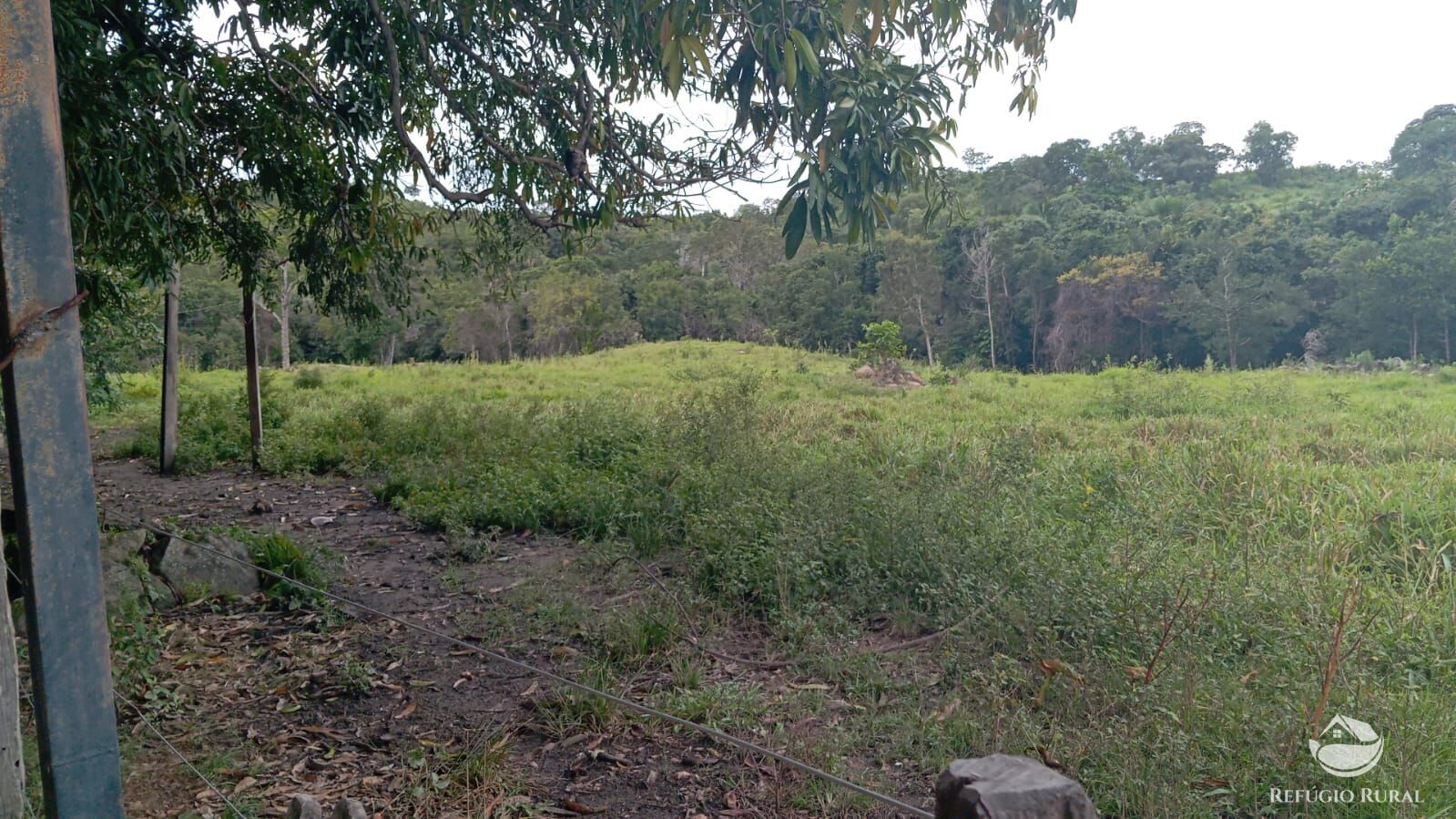 Fazenda à venda com 2 quartos, 3872000m² - Foto 20