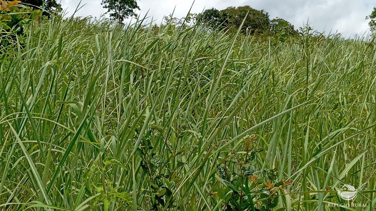 Fazenda à venda com 2 quartos, 3872000m² - Foto 17