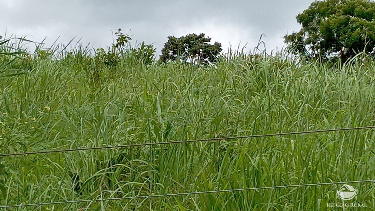 Fazenda à venda com 2 quartos, 3872000m² - Foto 12