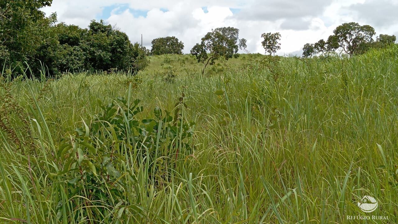 Fazenda à venda com 2 quartos, 3872000m² - Foto 4