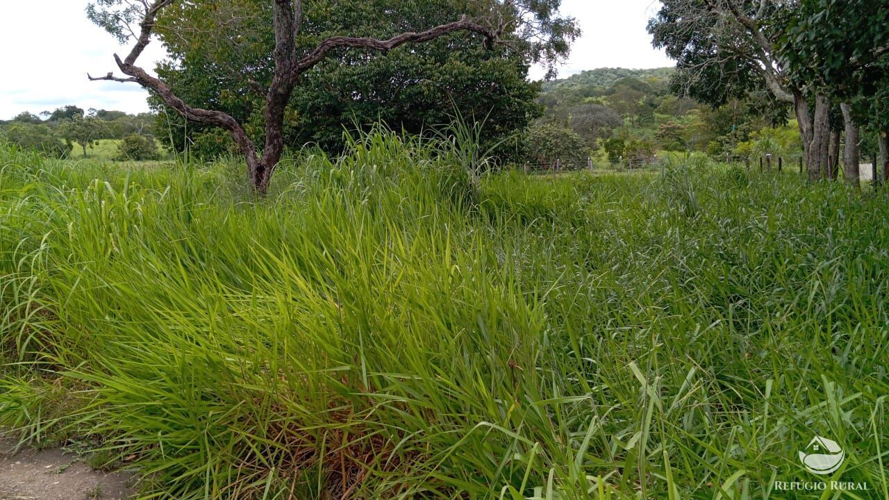 Fazenda à venda com 2 quartos, 3872000m² - Foto 9