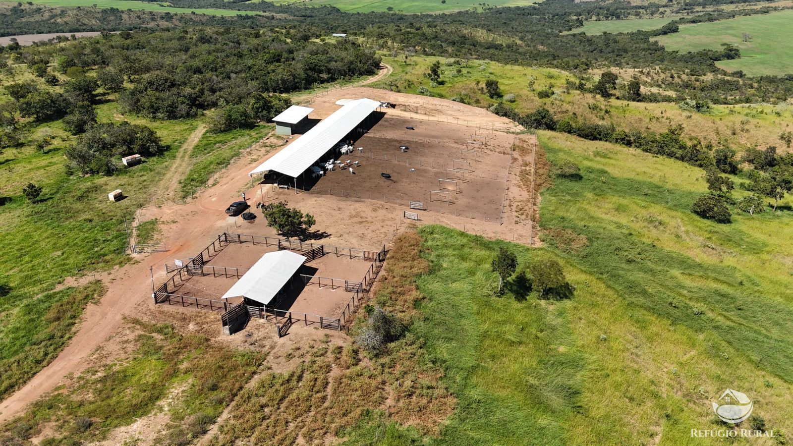 Fazenda à venda com 4 quartos, 7950000m² - Foto 3