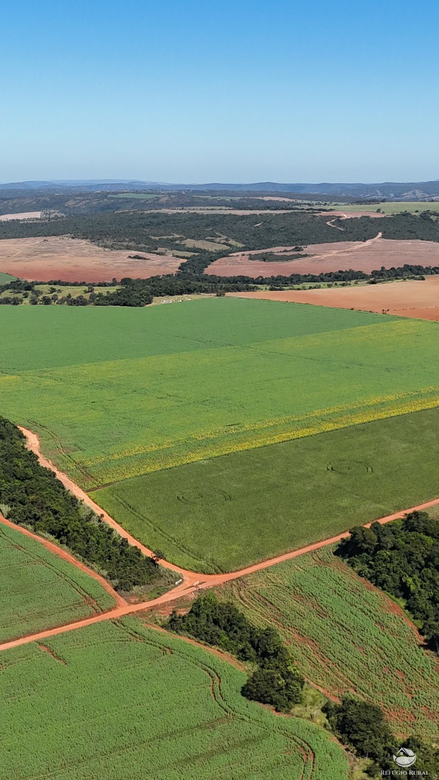 Fazenda à venda com 4 quartos, 7950000m² - Foto 7