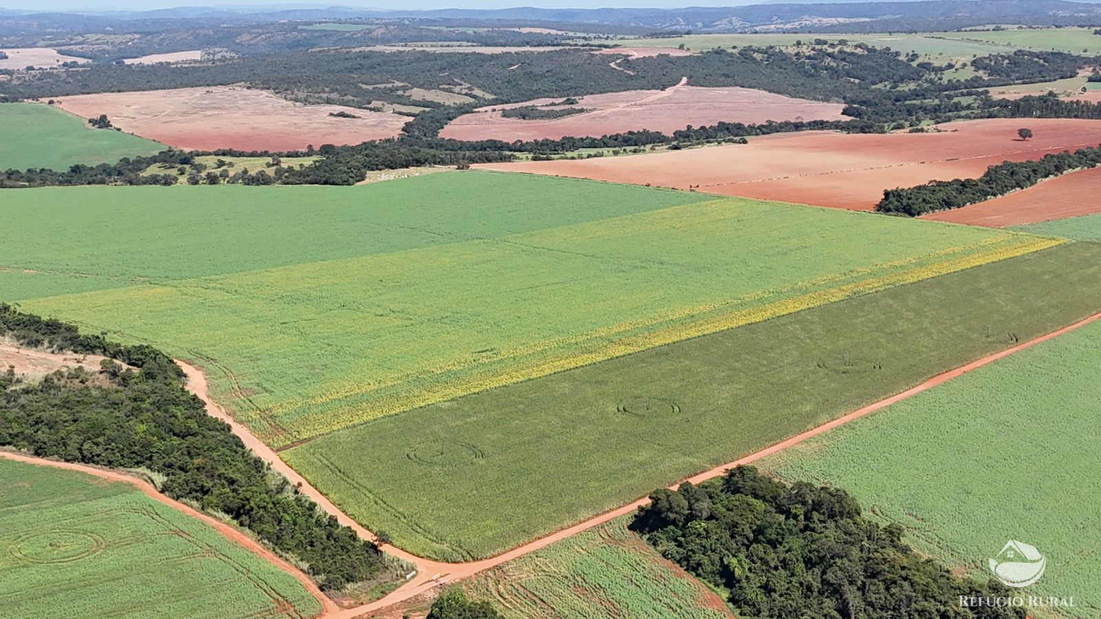 Fazenda à venda com 4 quartos, 7950000m² - Foto 15