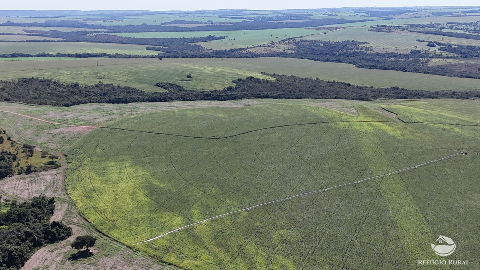 Fazenda à venda com 4 quartos, 7950000m² - Foto 14