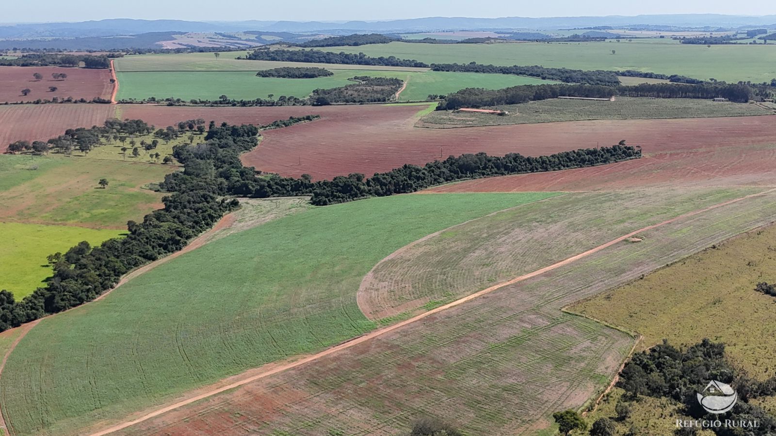 Fazenda à venda com 4 quartos, 7950000m² - Foto 6