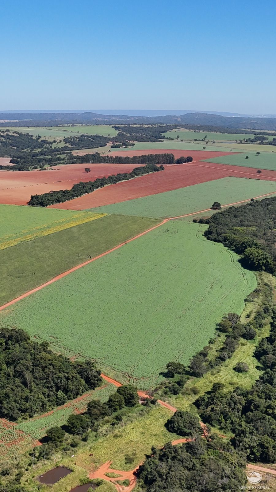 Fazenda à venda com 4 quartos, 7950000m² - Foto 8