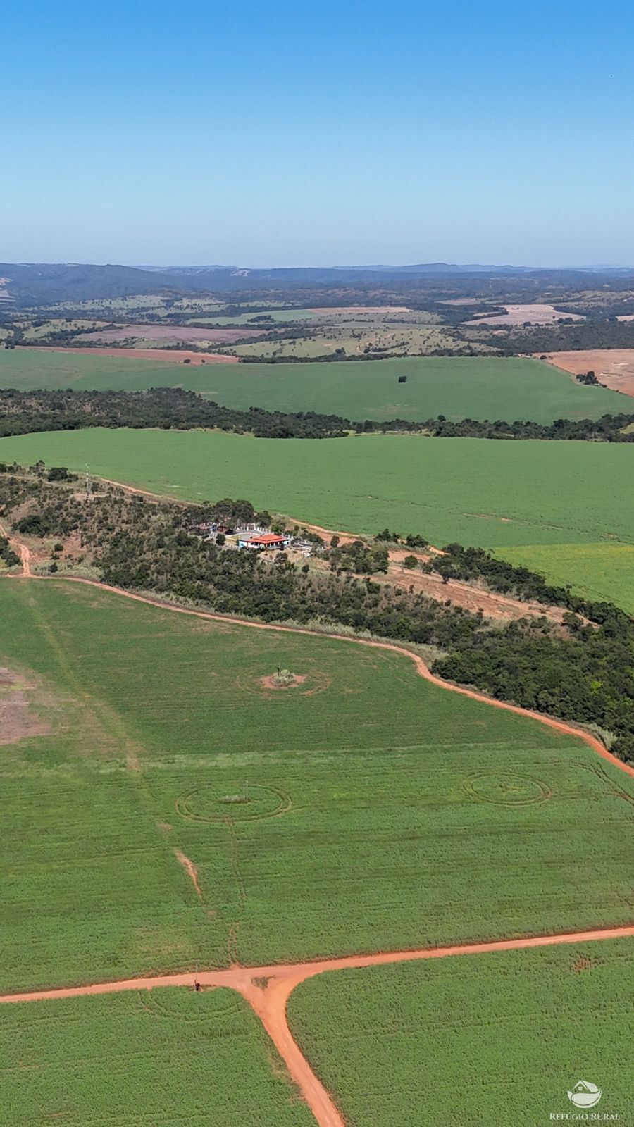 Fazenda à venda com 4 quartos, 7950000m² - Foto 4