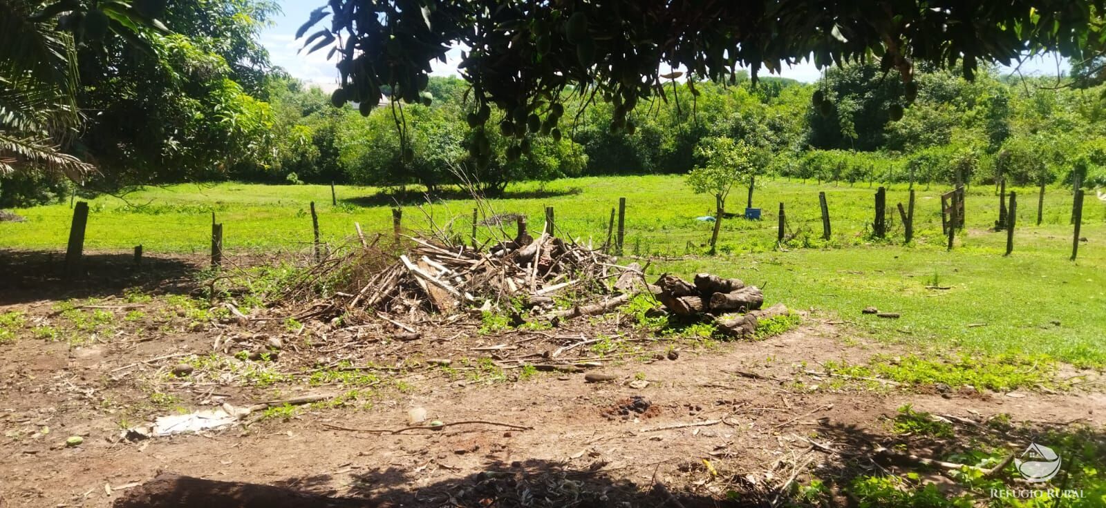 Fazenda à venda com 2 quartos, 3500m² - Foto 8