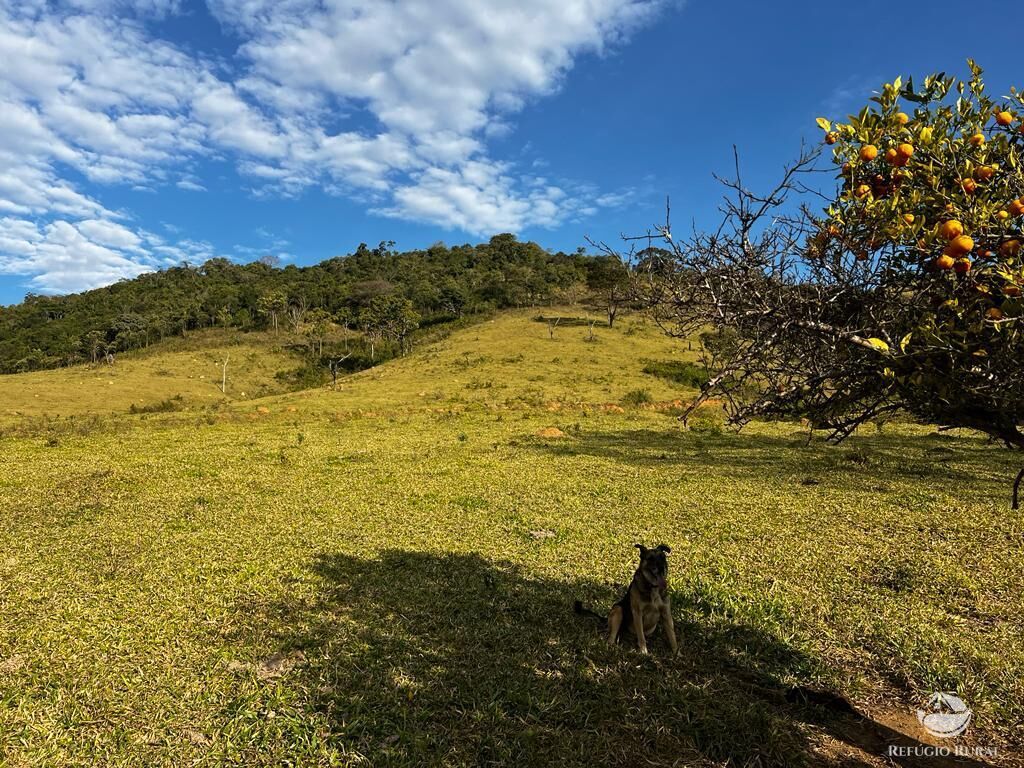 Fazenda à venda com 1 quarto, 2444200m² - Foto 17