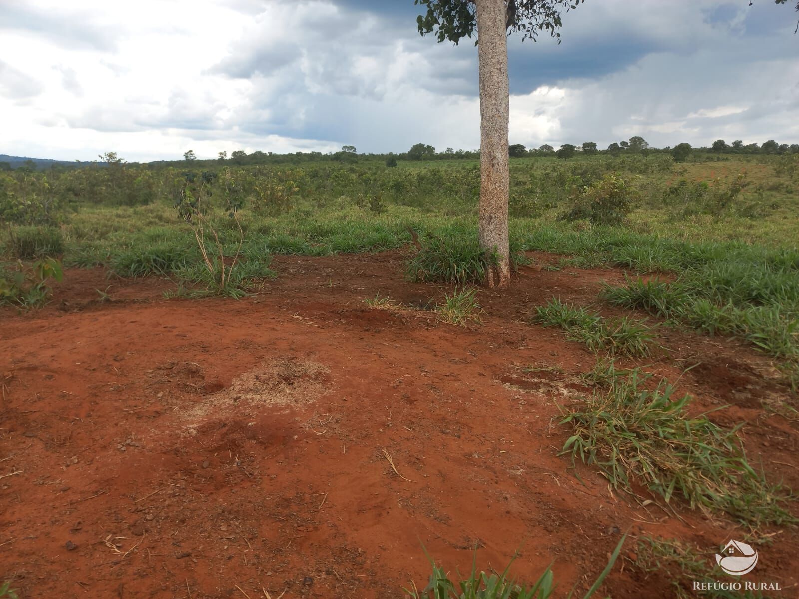 Fazenda à venda com 2 quartos, 2790000m² - Foto 17