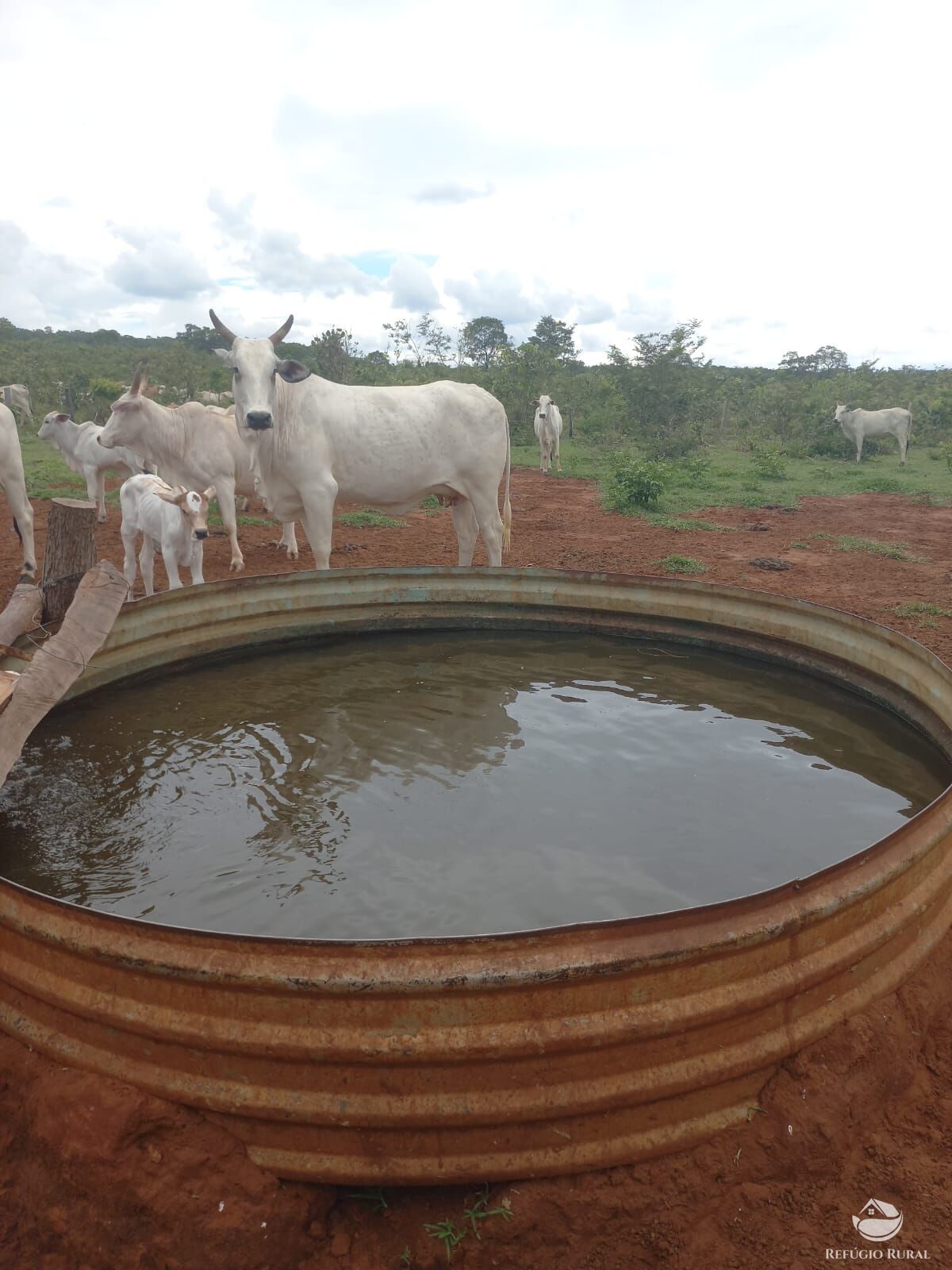 Fazenda à venda com 2 quartos, 2790000m² - Foto 4