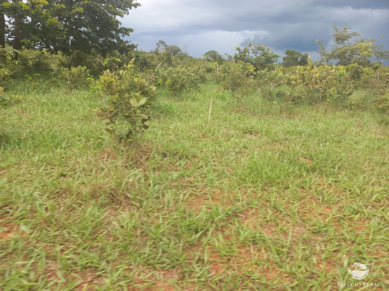 Fazenda à venda com 2 quartos, 2790000m² - Foto 8