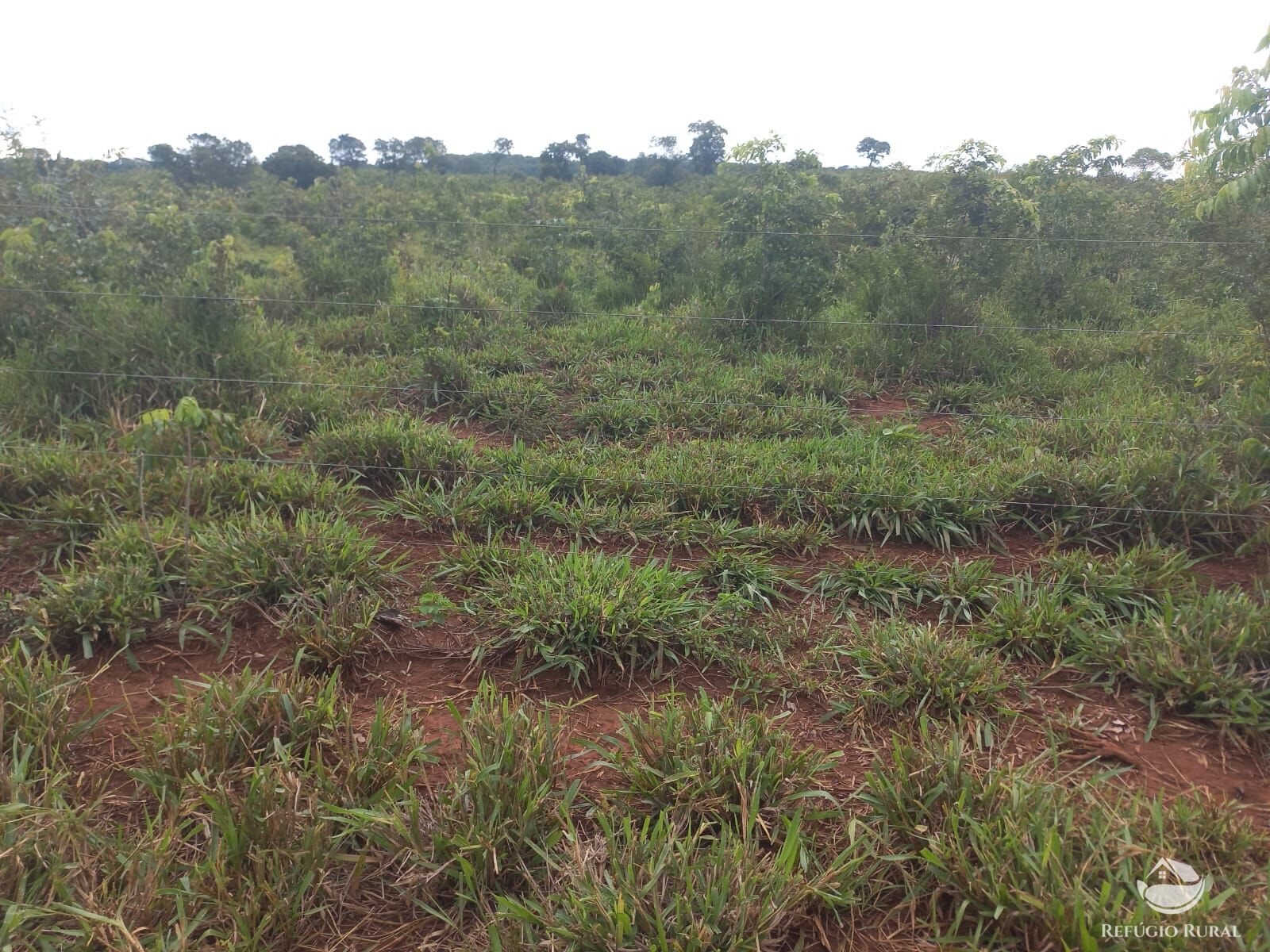 Fazenda à venda com 2 quartos, 2790000m² - Foto 5