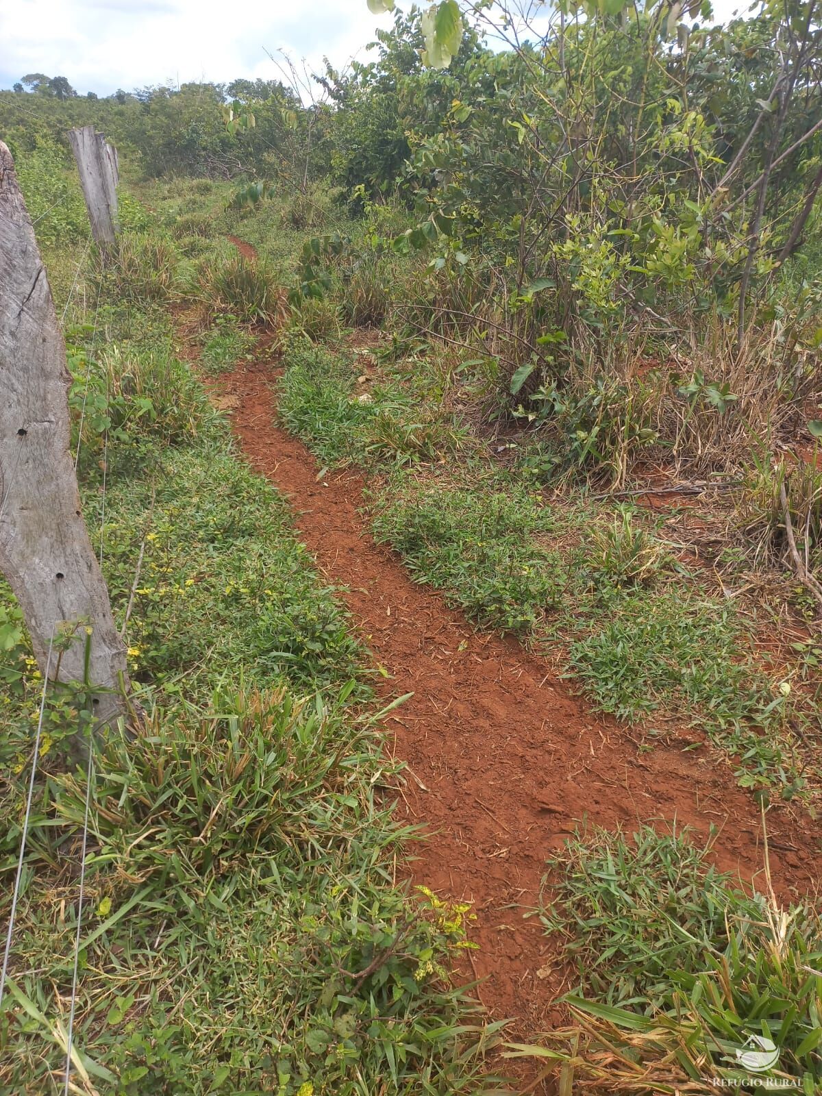 Fazenda à venda com 2 quartos, 2790000m² - Foto 11