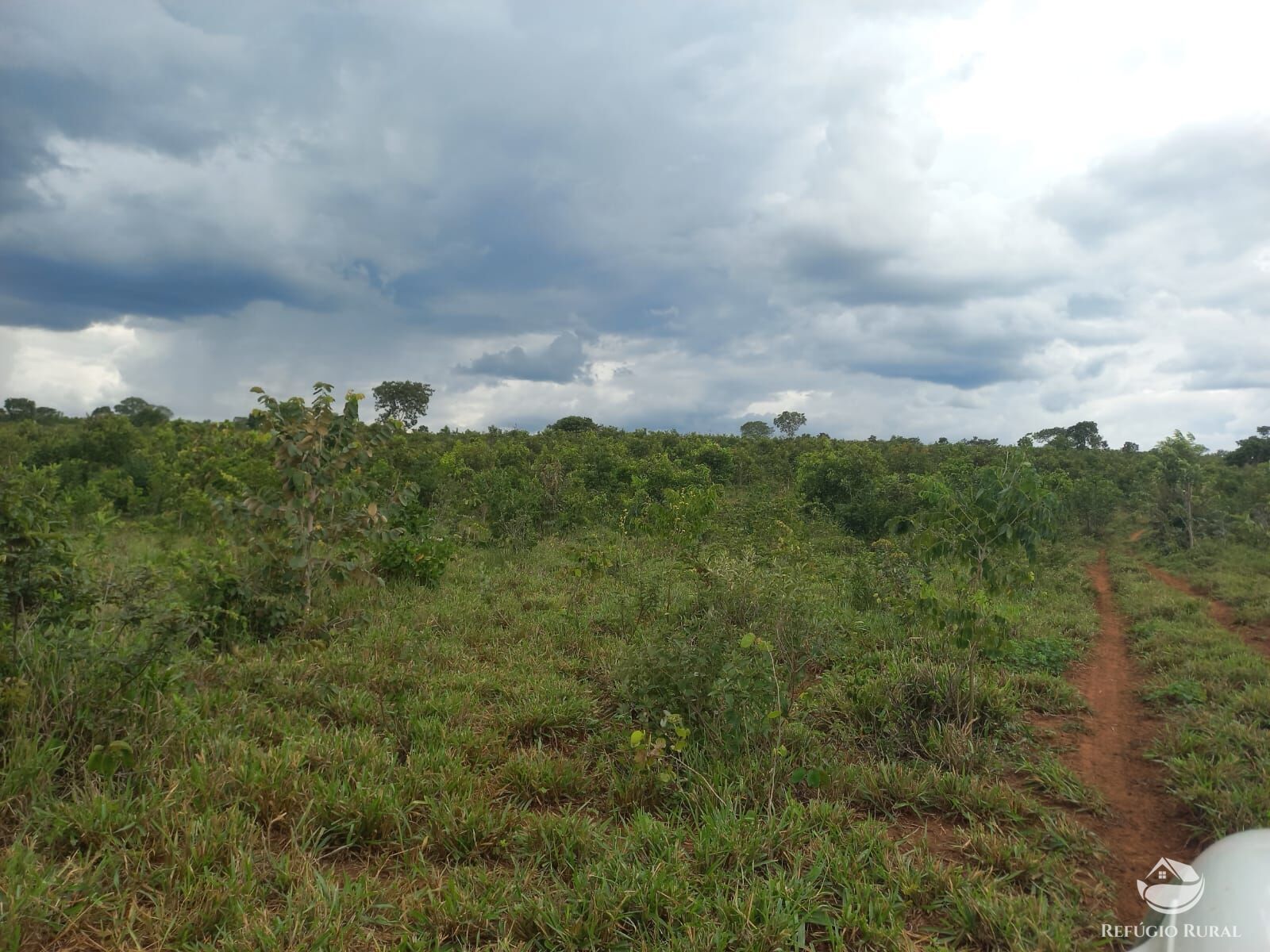 Fazenda à venda com 2 quartos, 2790000m² - Foto 18