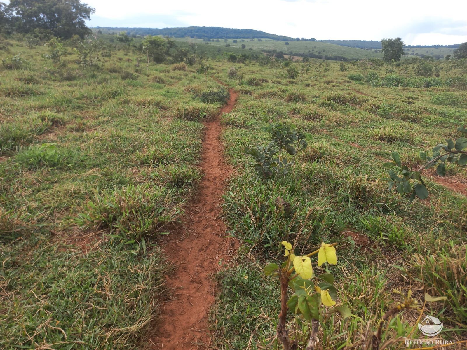 Fazenda à venda com 2 quartos, 2790000m² - Foto 20