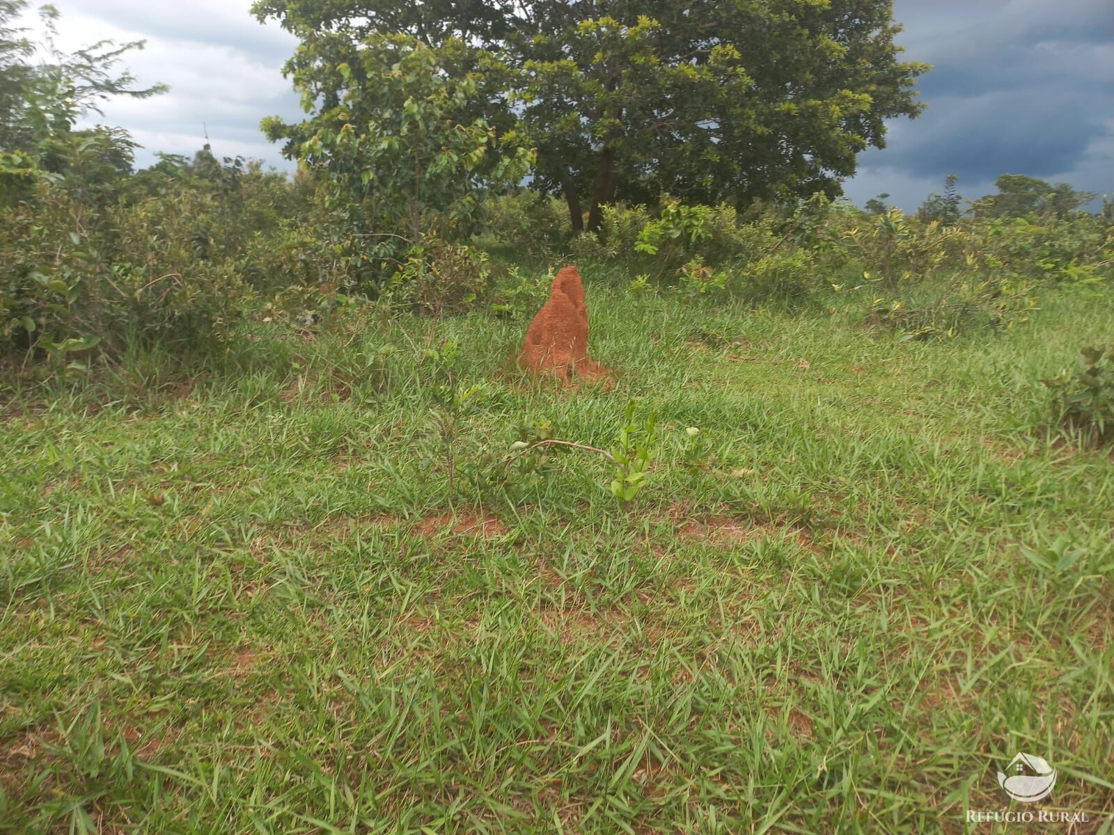 Fazenda à venda com 2 quartos, 2790000m² - Foto 7