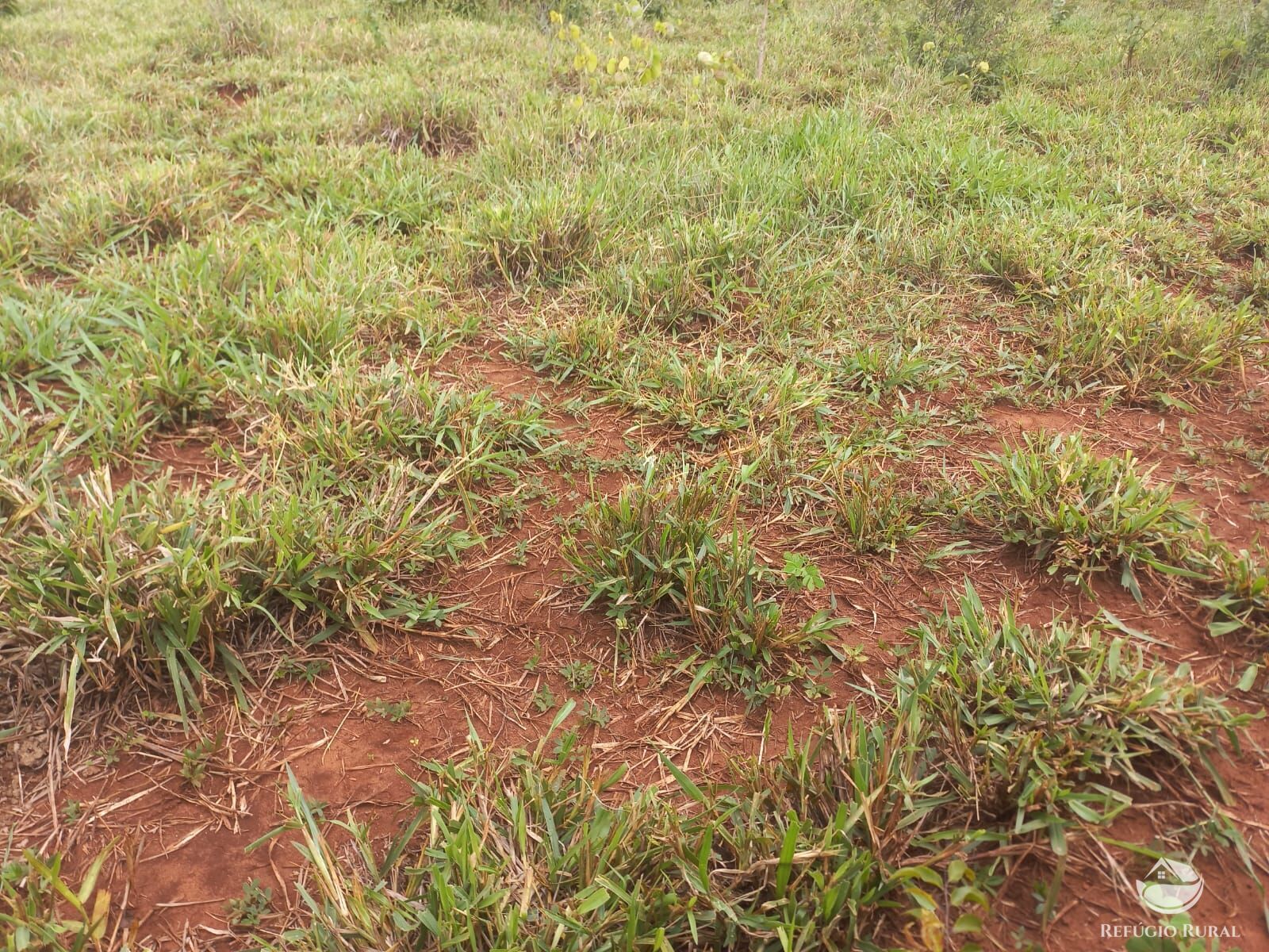 Fazenda à venda com 2 quartos, 2790000m² - Foto 16