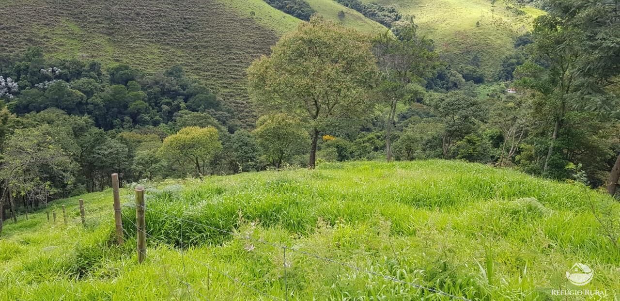 Fazenda à venda com 2 quartos, 238600m² - Foto 45