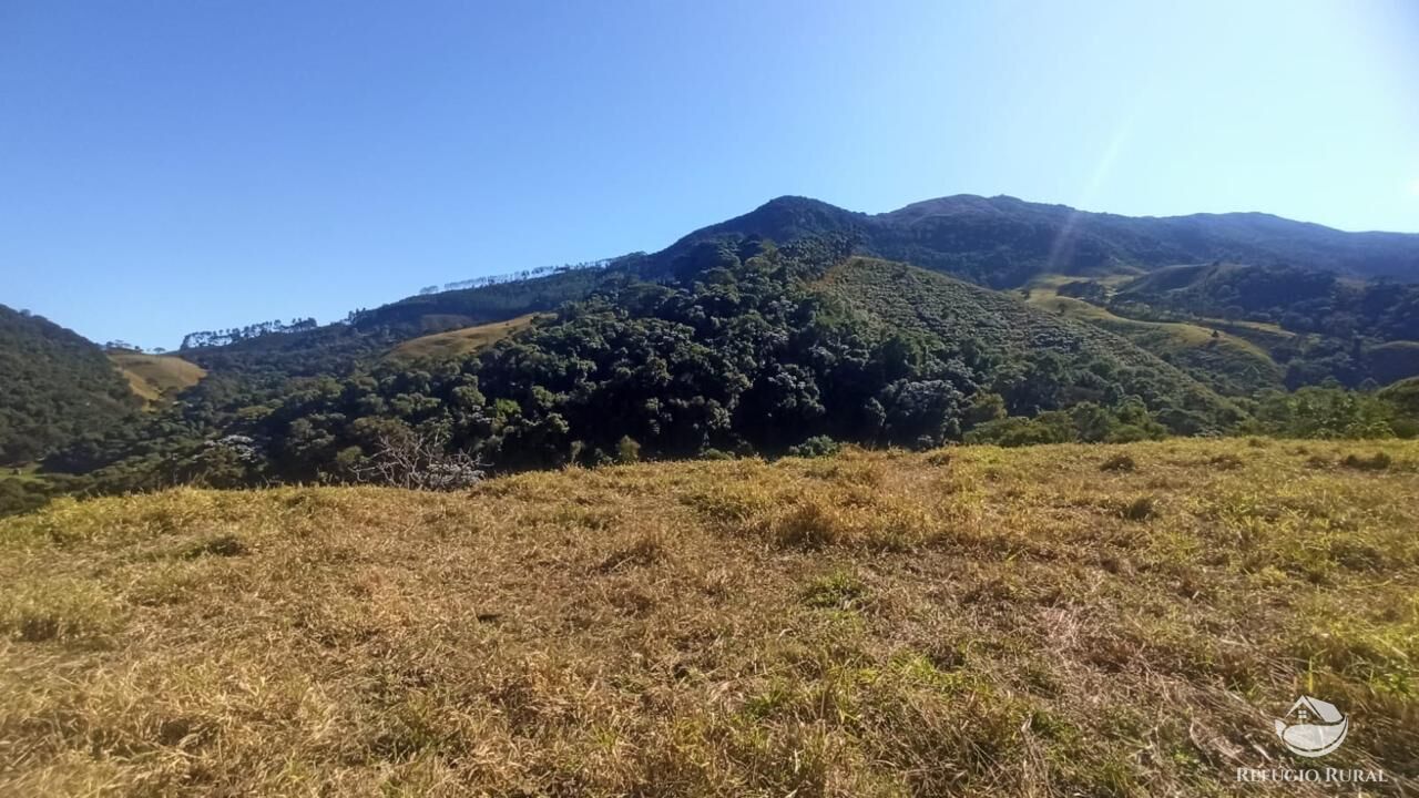 Fazenda à venda com 2 quartos, 238600m² - Foto 44