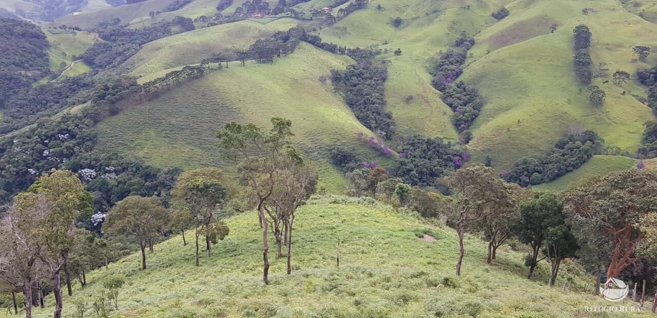 Fazenda à venda com 2 quartos, 238600m² - Foto 6