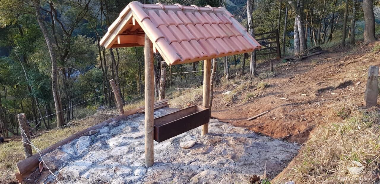 Fazenda à venda com 2 quartos, 238600m² - Foto 11