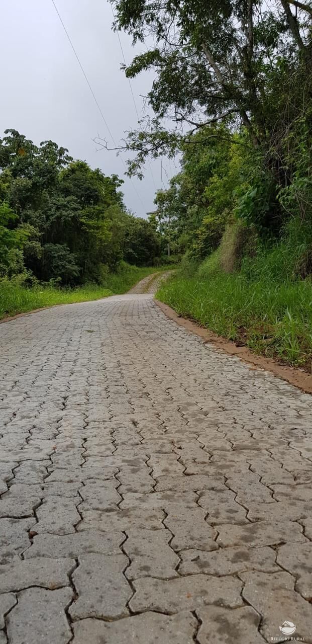 Fazenda à venda com 2 quartos, 238600m² - Foto 42