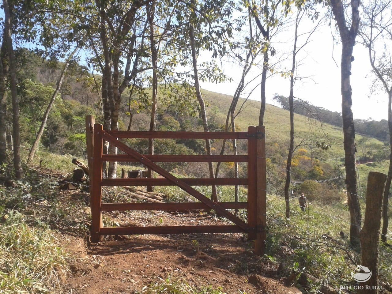 Fazenda à venda com 2 quartos, 238600m² - Foto 12
