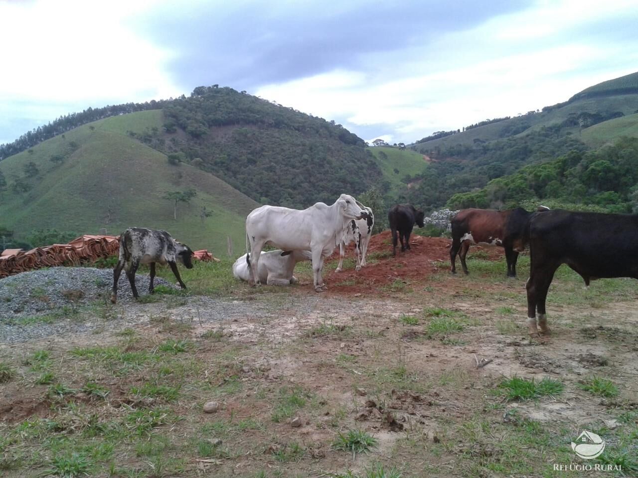 Fazenda à venda com 2 quartos, 238600m² - Foto 9