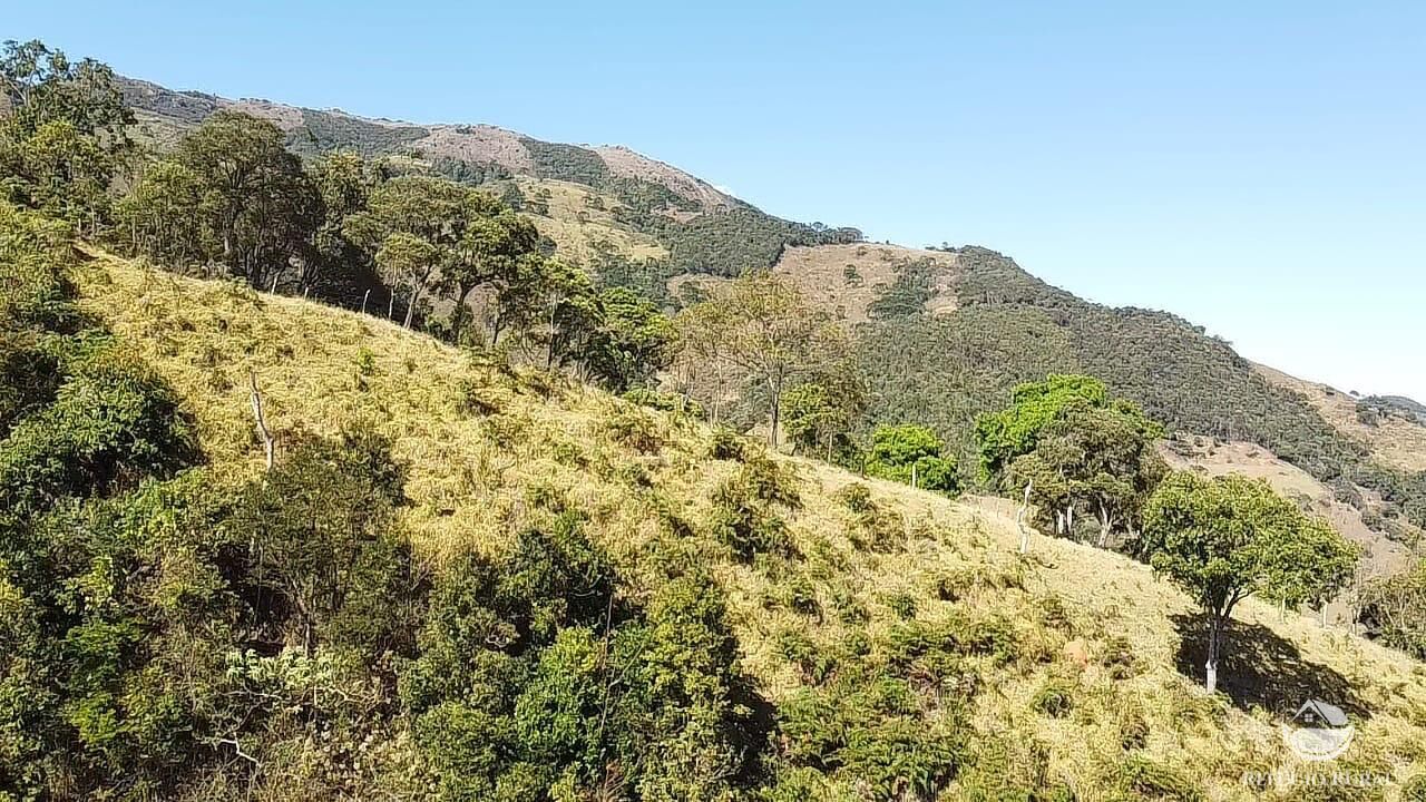 Fazenda à venda com 2 quartos, 238600m² - Foto 47
