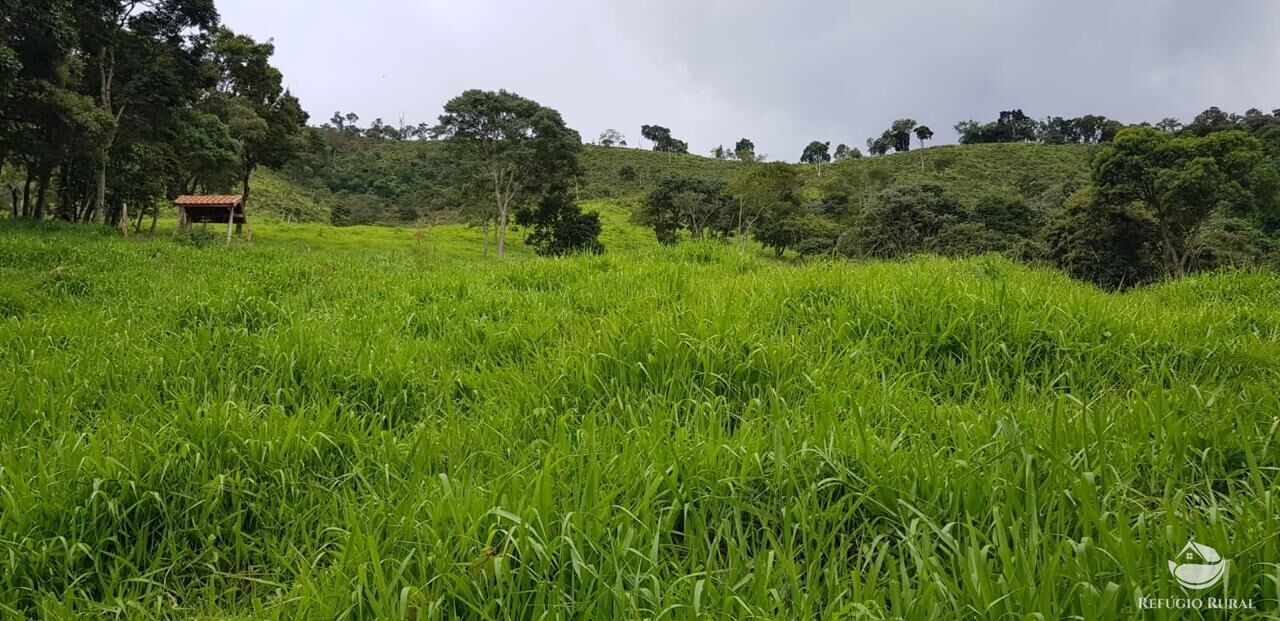 Fazenda à venda com 2 quartos, 238600m² - Foto 24