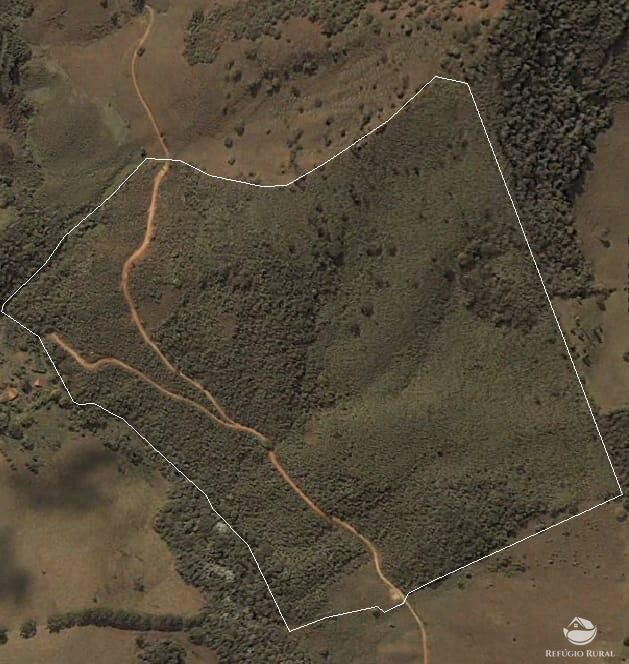 Fazenda à venda com 2 quartos, 238600m² - Foto 46
