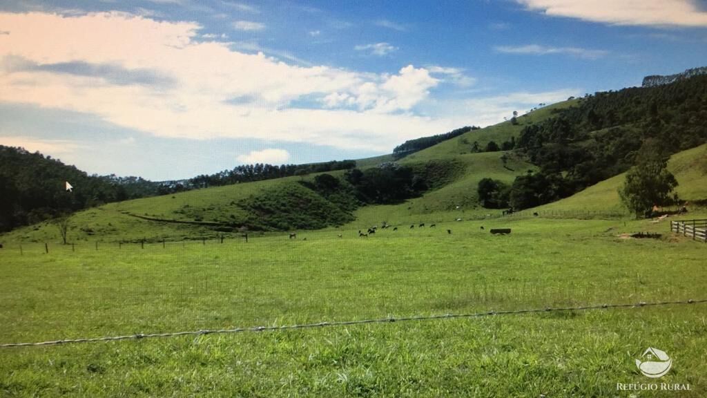 Fazenda à venda com 3 quartos, 992200m² - Foto 35