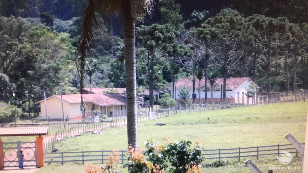 Fazenda à venda com 3 quartos, 992200m² - Foto 44