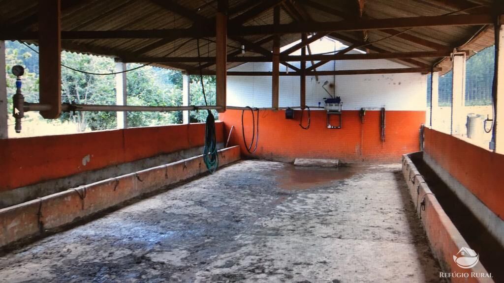 Fazenda à venda com 3 quartos, 992200m² - Foto 20