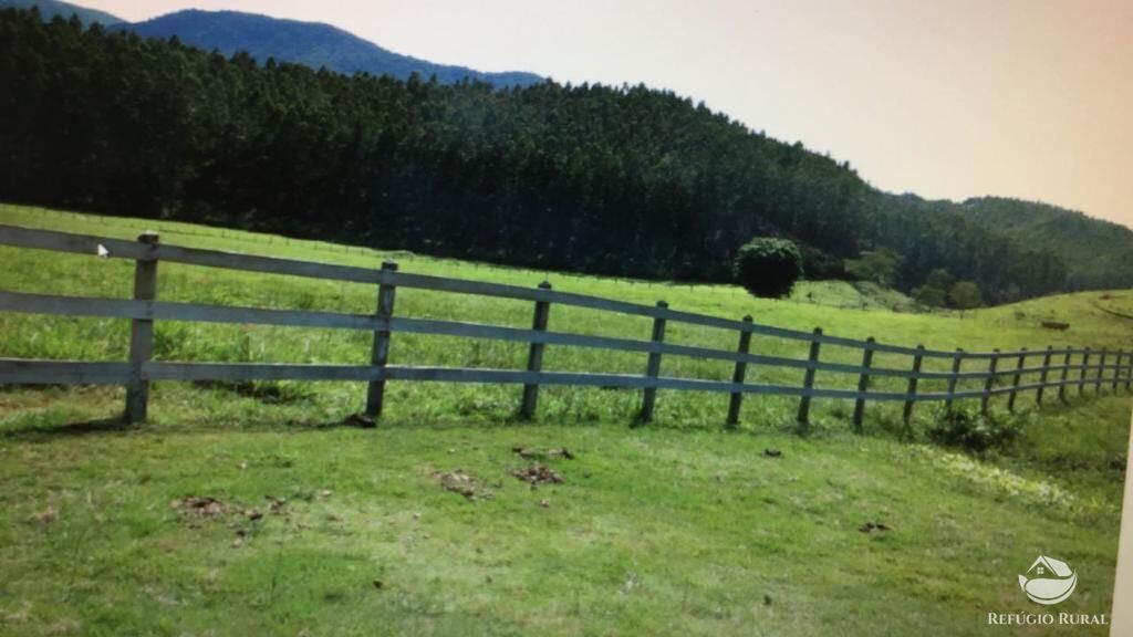Fazenda à venda com 3 quartos, 992200m² - Foto 34