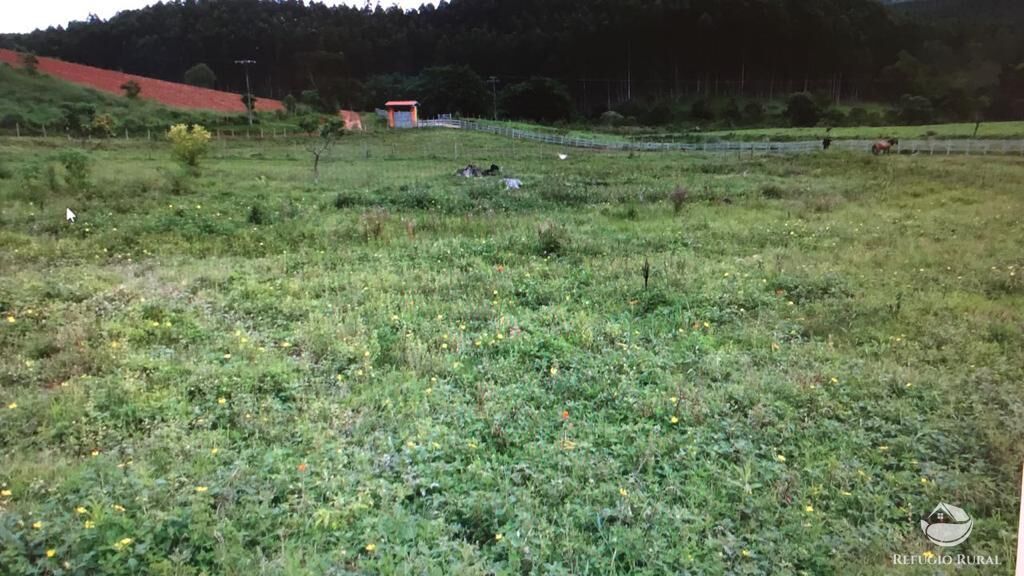 Fazenda à venda com 3 quartos, 992200m² - Foto 29