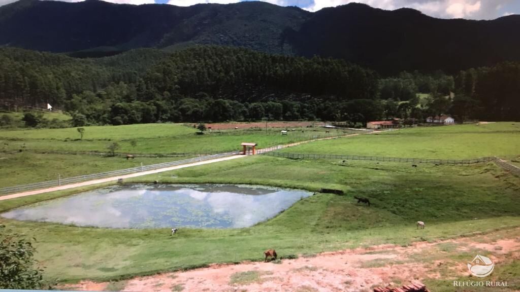 Fazenda à venda com 3 quartos, 992200m² - Foto 10