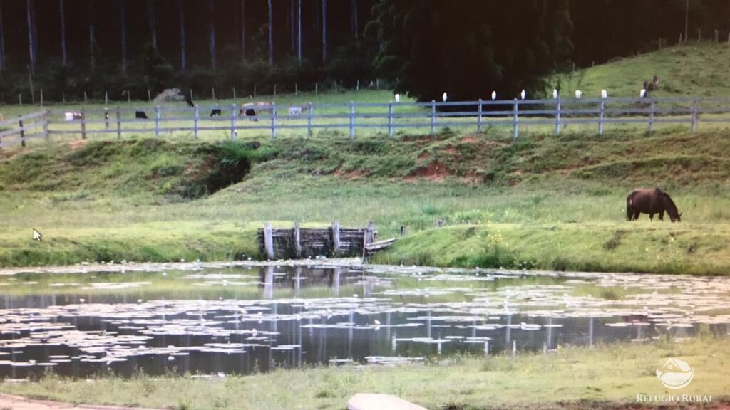 Fazenda à venda com 3 quartos, 992200m² - Foto 36