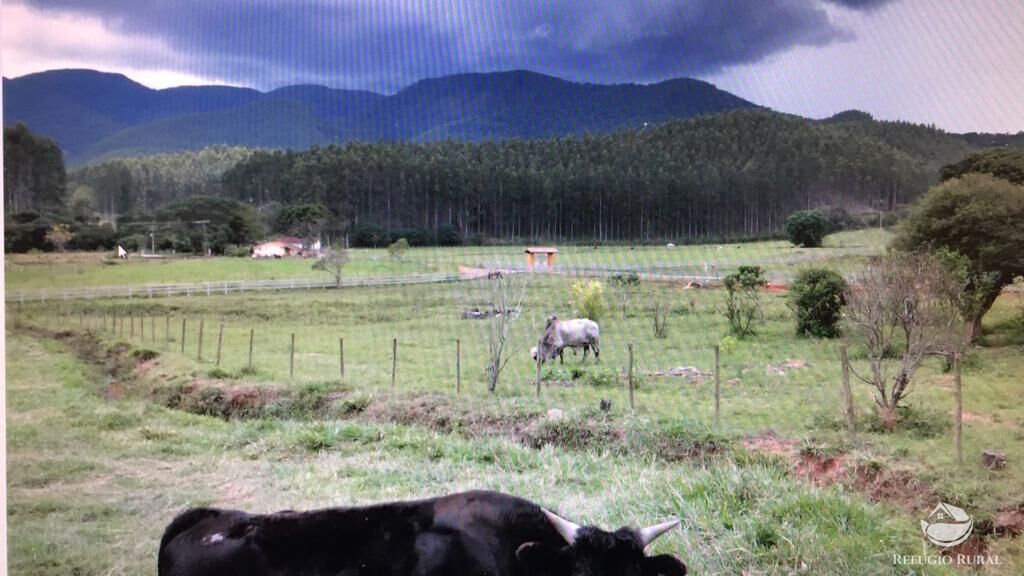 Fazenda à venda com 3 quartos, 992200m² - Foto 11