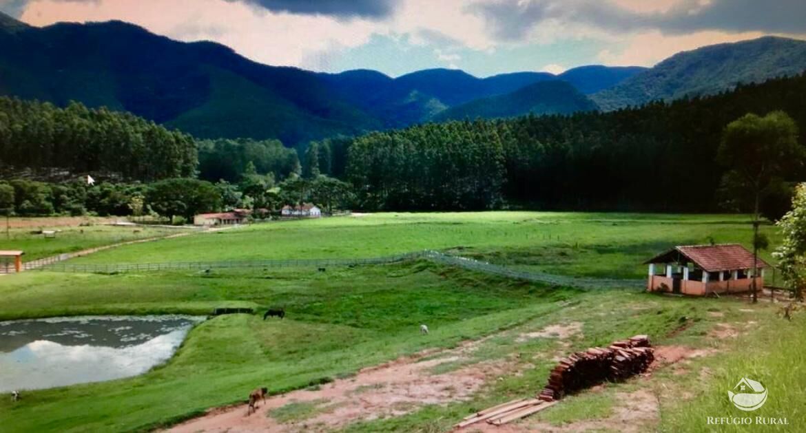 Fazenda à venda com 3 quartos, 992200m² - Foto 1