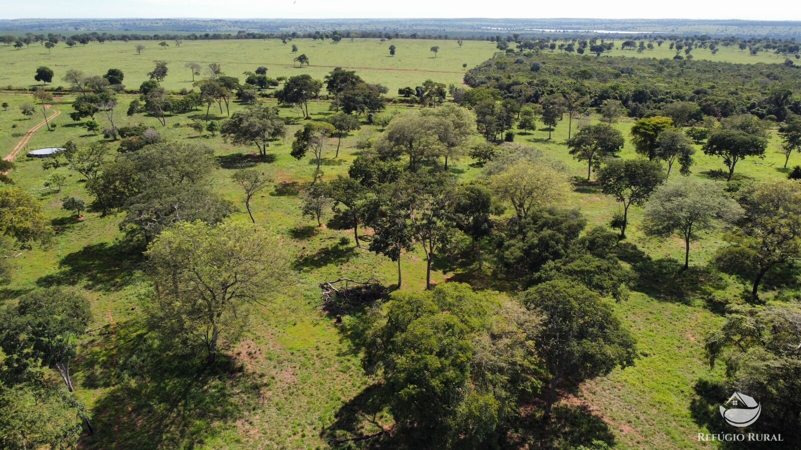 Fazenda à venda com 2 quartos, 19090000m² - Foto 3