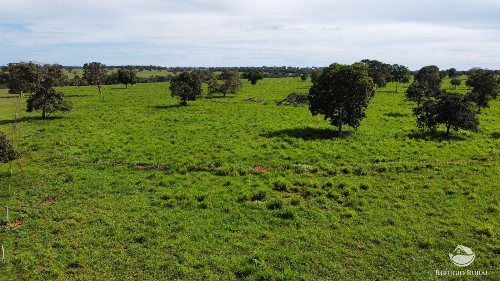 Fazenda à venda com 2 quartos, 19090000m² - Foto 10