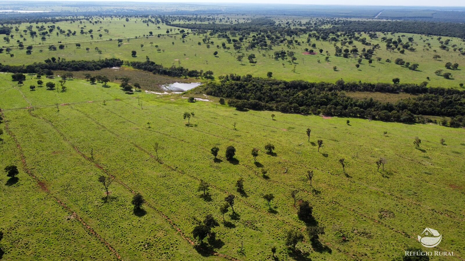 Fazenda à venda com 2 quartos, 19090000m² - Foto 6