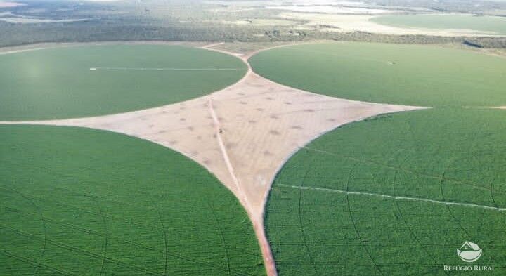 Fazenda, 957 hectares - Foto 4